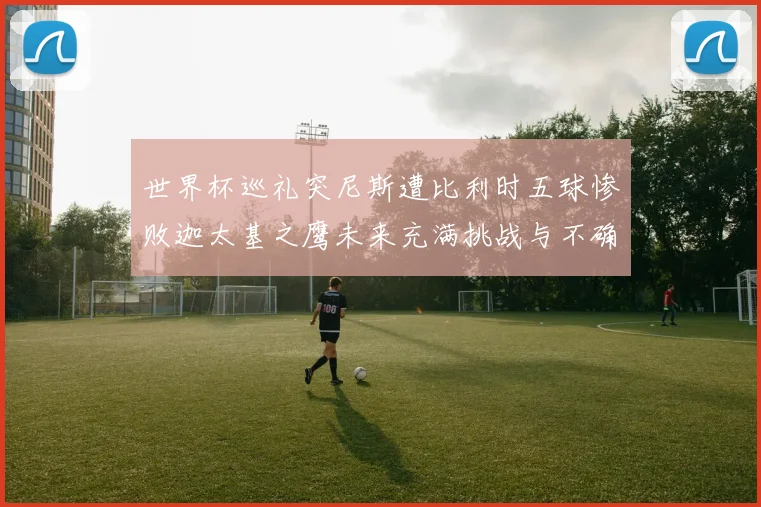 世界杯巡礼突尼斯遭比利时五球惨败迦太基之鹰未来充满挑战与不确定性