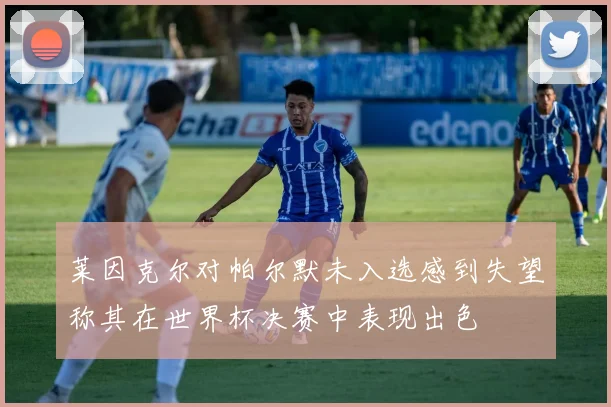 莱因克尔对帕尔默未入选感到失望称其在世界杯决赛中表现出色